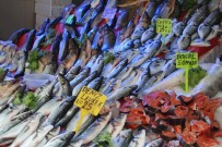 AV YASAĞI - Balıkçılar Yeni Sezondan Umutlu