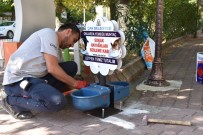 BÜLENT ÖZ - Çan Belediyesi'nden Sokak Hayvanları İçin Duyarlı Uygulama