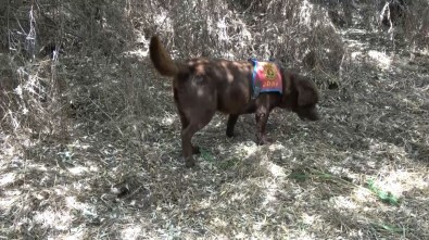 Kayıp Zabıt Katibi 23 Gündür Aranıyor