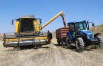 İLKBAHAR - Kuraklık Buğday Verimini Yüzde 60 Düşürdü