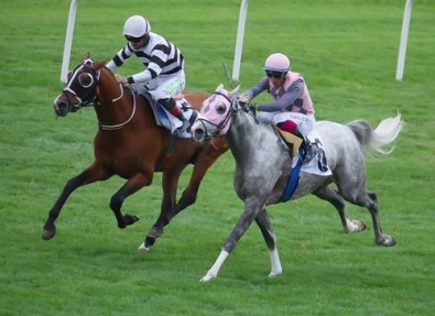 Sultansuyu Tayları Kupalara Doymuyor