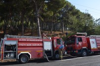 TRAFIK KAZASı - Ayvalık'ta Çıkan Orman Yangınında Vatandaşlar Etten Duvar Ördü