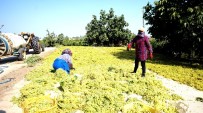 Bakanın Kuru Üzüm Fiyat Açıklaması Üreticileri Memnun Etti