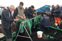 OLTA - Giresunlu Balıkçılar 1 Eylül'e Hazır Ama Sezondan Umutsuz