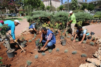 Haliliye'de Parklar Güzelleşiyor