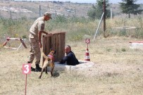 KAYABAŞı - Hayat Kurtaran Köpekler 16 Aylık Eğitimden Geçiriliyor