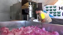 İdlib'e İçme Suyu Yardımı