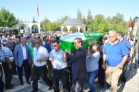 İRFAN KAPLAN - İş Bankası Genel Müdürü Bali'nin Annesi Son Yolculuğuna Uğurlandı