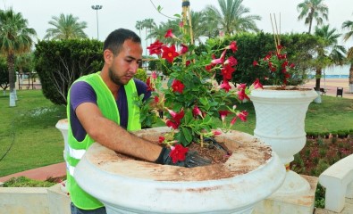 Mersin'de Mevsimlik Çiçek Dikimi Tamamlandı