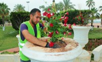 TAFLAN - Mersin'de Mevsimlik Çiçek Dikimi Tamamlandı