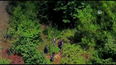 Ormandaki Uyuşturucuyu Drone Ve Foto Kapanla Buldular