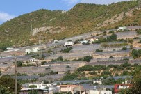 ZIRAAT BANKASı - Türkiye Seracılıkta Dünya İle Yarışıyor