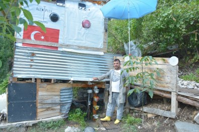 Ayı Ve Domuzlar Onun Tarlasının Yanından Bile Geçemiyor