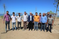 KAMU YARARı - Başkan Akman, Mega Projeyi İnceledi