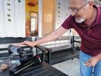 TAKSİ ŞOFÖRLERİ - (Özel) Karga İle Taksi Şoförlerinin Dostluğu Kamerada