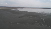 KARAMıK - (Özel) Tuzla Gölü Turist Bekliyor