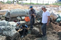 DIONYSOS - Soli Pompeiopolis 2019 Kazı Çalışmaları Sona Erdi