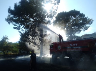 Antalya'da Antik Kentte Yangın Çıktı