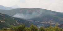 BAKLALı - Bingöl'de Orman Yangını, Ekipler Söndürdü