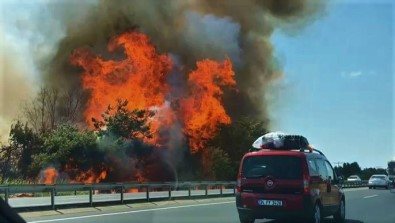 İstanbul - Tekirdağ Yolundaki Ağaçlık Alanda Büyük Yangın