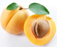 ÇEVRE KIRLILIĞI - Kayısının Faydaları Saymakla Bitmiyor