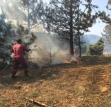 MUHAMMET ÖNDER - Kütahya'daki Orman Yangını Kontrol Altına Alındı