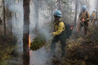ALASKA - Orman Yangını Yerleşim Yerlerine Sıçradı