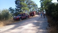 SAVUNMA SANAYİ MÜSTEŞARLIĞI - Orman Yangınlarına Kısa Sürede Müdahale Türkiye'yi 1. Sıraya Yükseltti