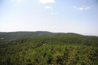 ORMAN İŞLETME MÜDÜRÜ - (Özel) Ankara Ormanlarının  'Yangın Gözlemcileri' 7/24 Tetikte