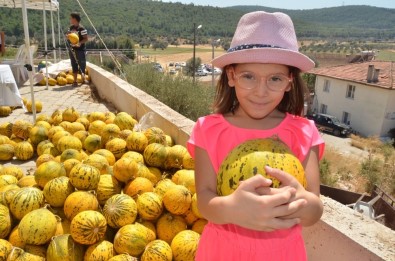 Urla 'Sarı Kokulu' Festival İle Coştu