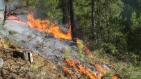 KARAKÖSE - Uşak'ta Çıkan Orman Yangını Kontrol Altına Alındı