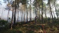 ORMAN ARAZİSİ - Uşak'ta Orman Yangını