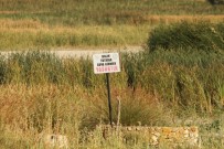 SAKARYA NEHRI - Balıkdamı Kuş Cenneti'nde Yasağa Rağmen Av Devam Ediyor