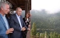 Cumhurbaşkanı Erdoğan: 'Şehitlerimizin kanı yerde kalmayacak' Haberi