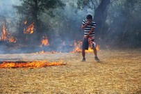 Güreşi Bırakıp Yangına Koştular