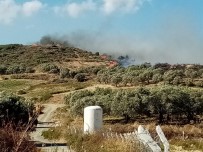 KARLıSU - Hatay'da Bitki Örtüsü Ve Zeytinlik Yangını Çıktı