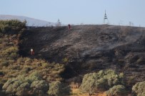 KARLıSU - Hatay'da Çıkan Yangında 4 Hektarlık Alan Kül Oldu