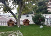 SONBAHAR - Kedi Evleri Gemlik Belediyesi'nden