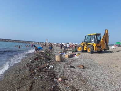 Selin Getirdiği Odunlar Sahile Vurdu, Vatandaşlar Şaşkınlık Yaşadı