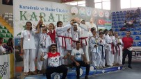HAZAR DENIZI - Uluslararası Karadeniz Hazar Ülkeleri Karate Şampiyonası Tamamlandı