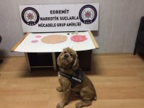 BONZAI - Balıkesir Polisinden Büyük Uyuşturucu Operasyonuı