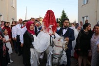 DAVUL ZURNA - Damat Gelini Almaya Otomobil Yerine Atla Gitti