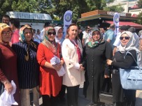 KADIN PLATFORMU - Erciyes Kadın Platformu Başkanı Zübeyde Özgen Açıklaması'Saygı Temelli Eğitim İle Toplumu Yeniden İnşa Etmeliyiz'
