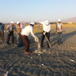 ORTAK AKIL - Mahalleliden Fidanlık Sahili Temizliği