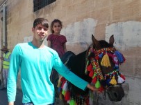 Mardin'de Atlı Turizm Dönemi