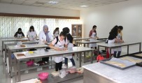 ŞEHITKAMIL BELEDIYESI - Pasta Yapmayı Öğrendiler, Sertifika Sahibi Oldular