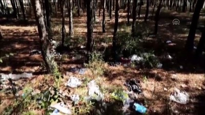 Atatürk Orman Çiftliği Eski Görünümüne Kavuşturuldu