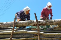 Aydın'daki Keresteci Kadınların Ekmek Mücadelesi Haberi
