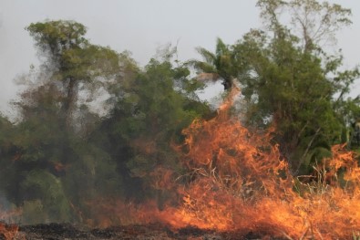 Brezilya, G7 Ülkelerinin Amazon Yangınları İçin Yardım Teklifini Reddetti