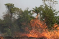 BREZILYA - Brezilya, G7 Ülkelerinin Amazon Yangınları İçin Yardım Teklifini Reddetti